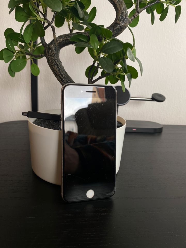 Apple Iphone / Ipod Set/Paket für Sammler und Bastler in Regensburg