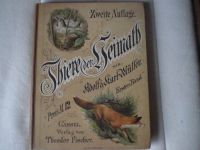 Tiere der Heimat sehr altes Buch Thüringen - Suhl Vorschau