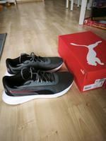 Puma Laufschuhe Sommerschuhe Sport Freizeit Stuttgart - Bad Cannstatt Vorschau
