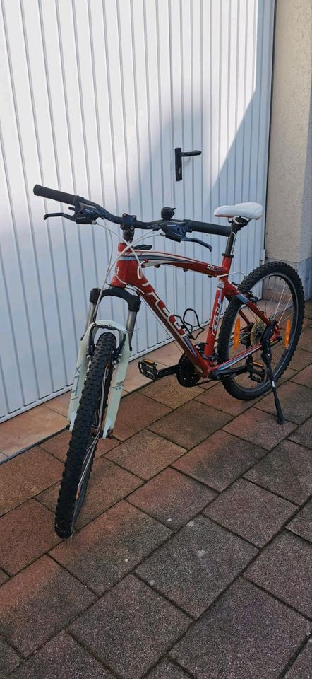 Mountenbike von FELT QS FW in Muldestausee