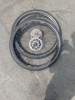 Laufradsatz 29 Zoll Scheibenbremse Schwalbe Plus MTB Bad Doberan - Landkreis - Broderstorf Vorschau