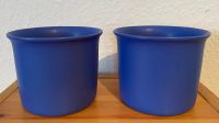 2 Blumentöpfe, Keramik, blau Rheinland-Pfalz - Trier Vorschau