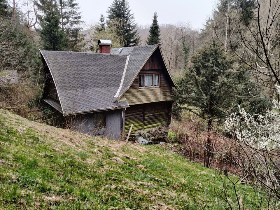 Großes naturbelassenes Grundstück in Sonneberg-Hüttensteinach in Sonneberg