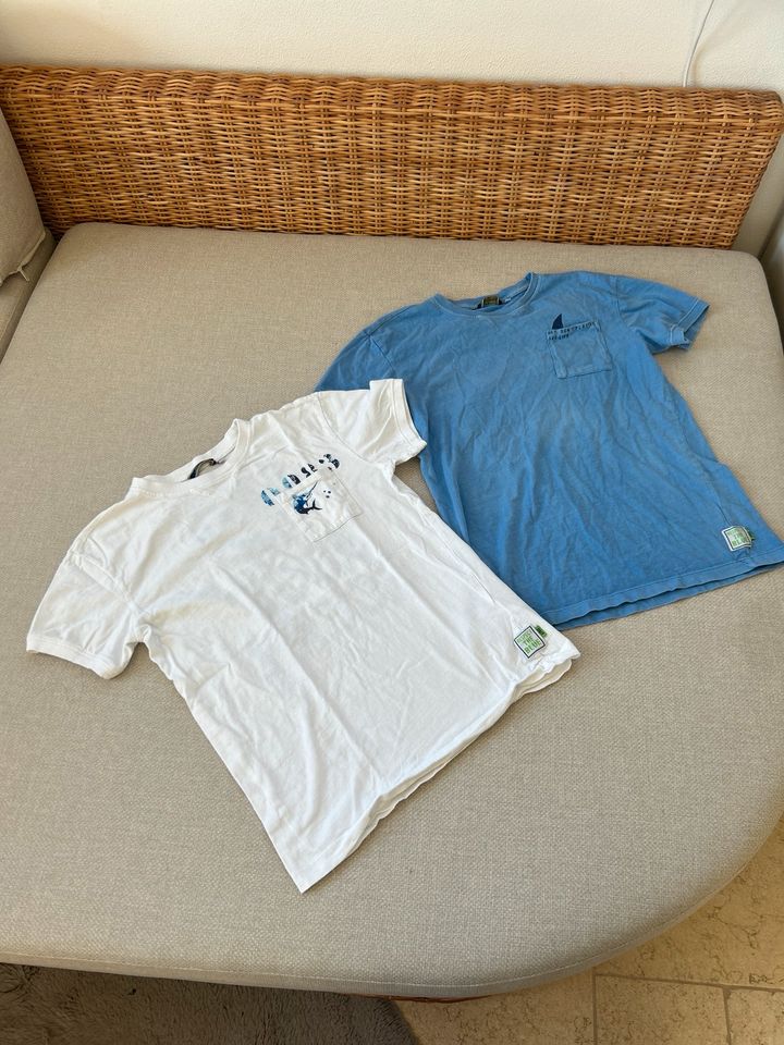 Zara T-Shirt Fisch Hai Ozean weiß blau 13/14 164 in Kösching