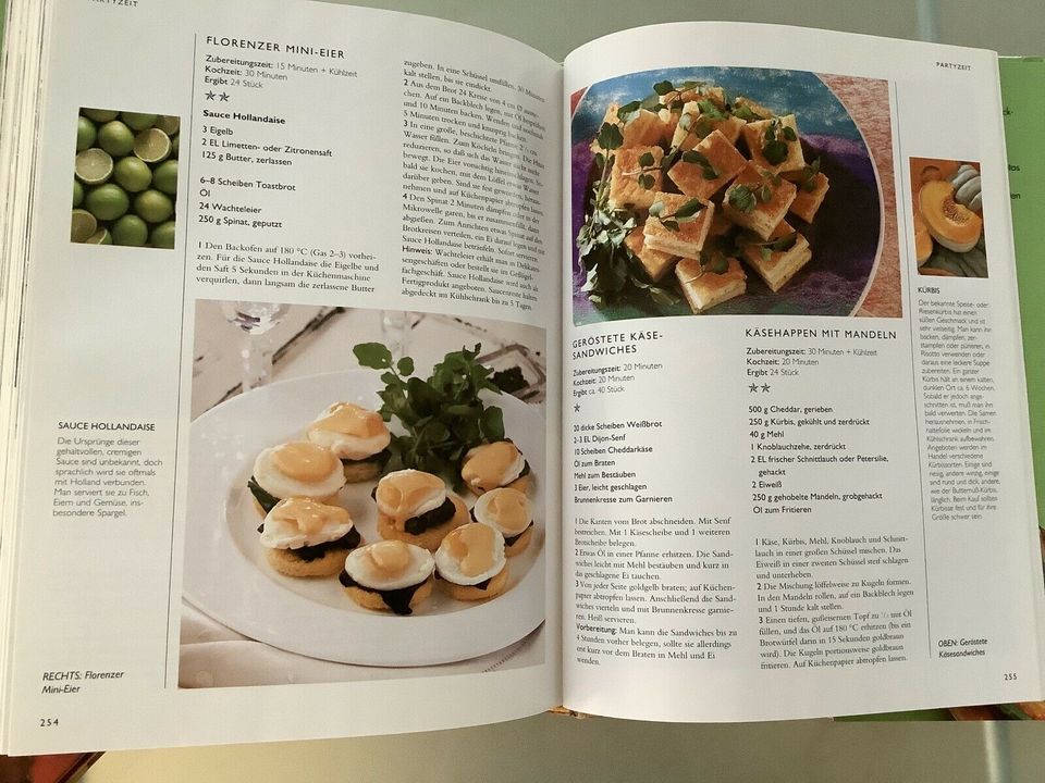 Fingerfood Das große Buch der Snacks Kochbuch in Ettlingen