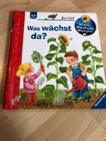 Was wächst da - wieso weshalb warum Junior Rheinland-Pfalz - Mayen Vorschau