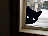 Katze Kopf Augen Licht Fenster Deko Silhouette Umriss schwarz Bergedorf - Hamburg Lohbrügge Vorschau