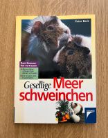 Ratgeber Meerschweinchen Berlin - Mitte Vorschau