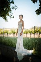 Brautkleid | Hochzeitskleid | Fit & Flare | Größe S Stuttgart - Stuttgart-Nord Vorschau