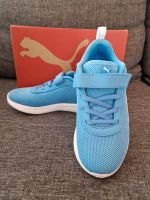 Puma Sport Schuh / Kinder - Jugend Schuh Neumünster - Wasbek Vorschau