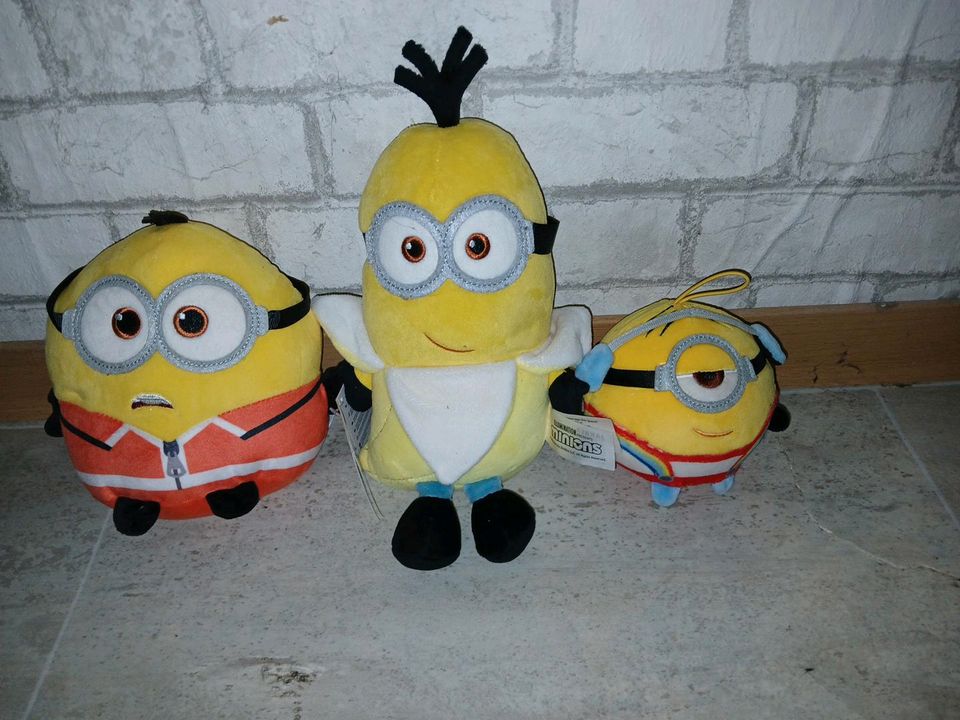 Minion Sammlung in Delmenhorst