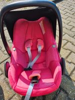 2 Maxi Cosi Babyschalen+ Pearl Sitze +FamilyFixbase Dortmund - Bittermark Vorschau