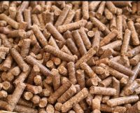 Holzpellets 6,0 MM 350 Euro Niedersachsen - Oldenburg Vorschau