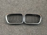 BMW E46 Nieren Kühlergrill vorne Motorhaube links rechts Chrom Aachen - Laurensberg Vorschau