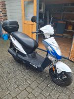 Kymco Agility 50 Schleswig-Holstein - Christiansholm Vorschau