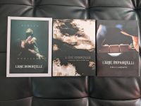 L'Ame Immortelle drei Boxen mit 6 CDs und 1 DVD Schleswig-Holstein - Schleswig Vorschau