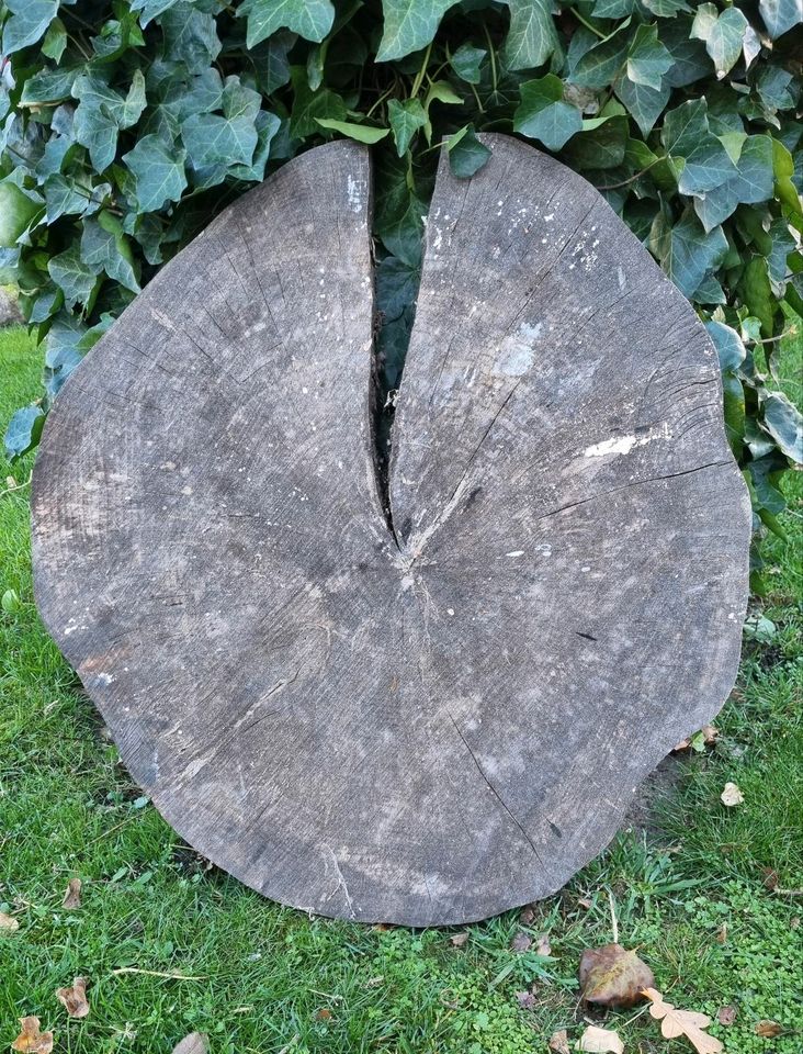 Große Holzscheibe 66 cm Durchmesser in Bliestorf