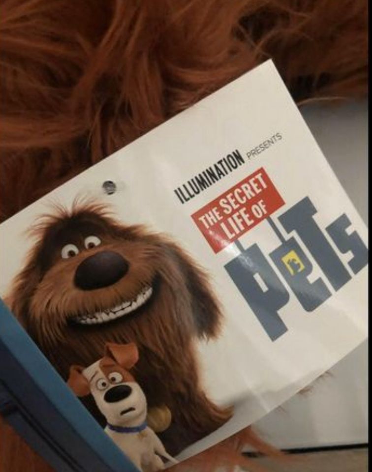 Rucksack „ the Secret Life of Pets „Neu mit Etikett /kindergarten in Hamburg