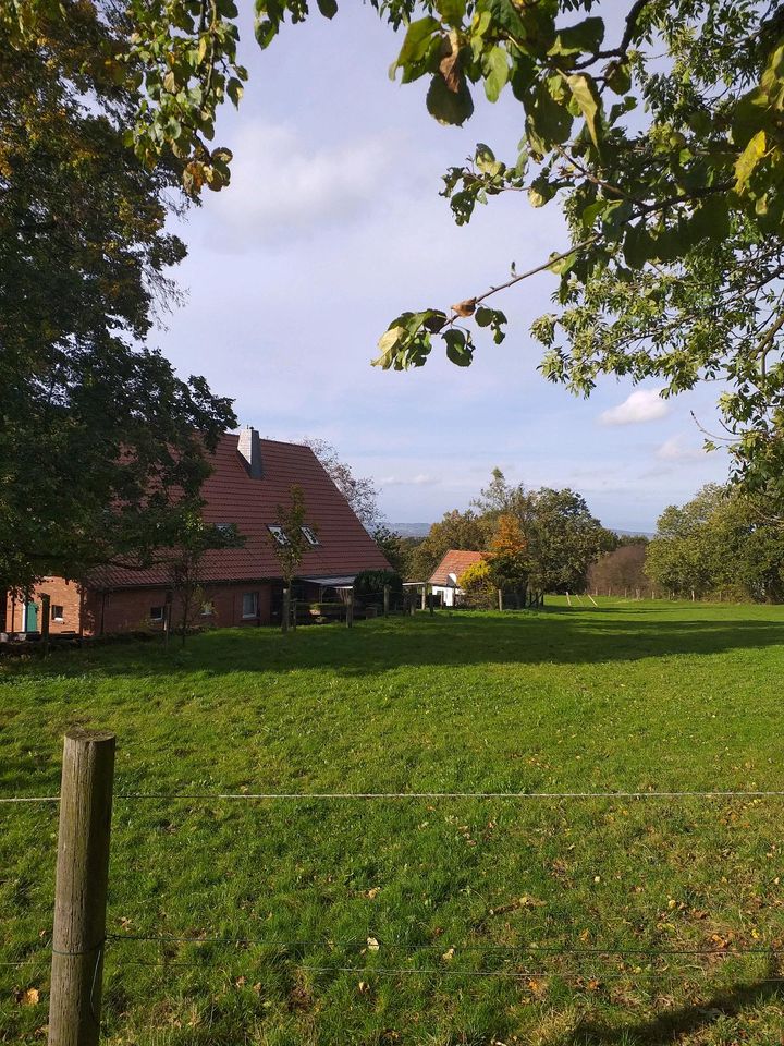 Pferdeboxen in Bad Oeynhausen