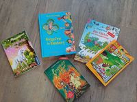 Kinderbücher Paket Taschenbücher Niedersachsen - Lingen (Ems) Vorschau