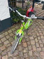 Puky Kinderrad 18 Zoll, grün München - Thalk.Obersendl.-Forsten-Fürstenr.-Solln Vorschau