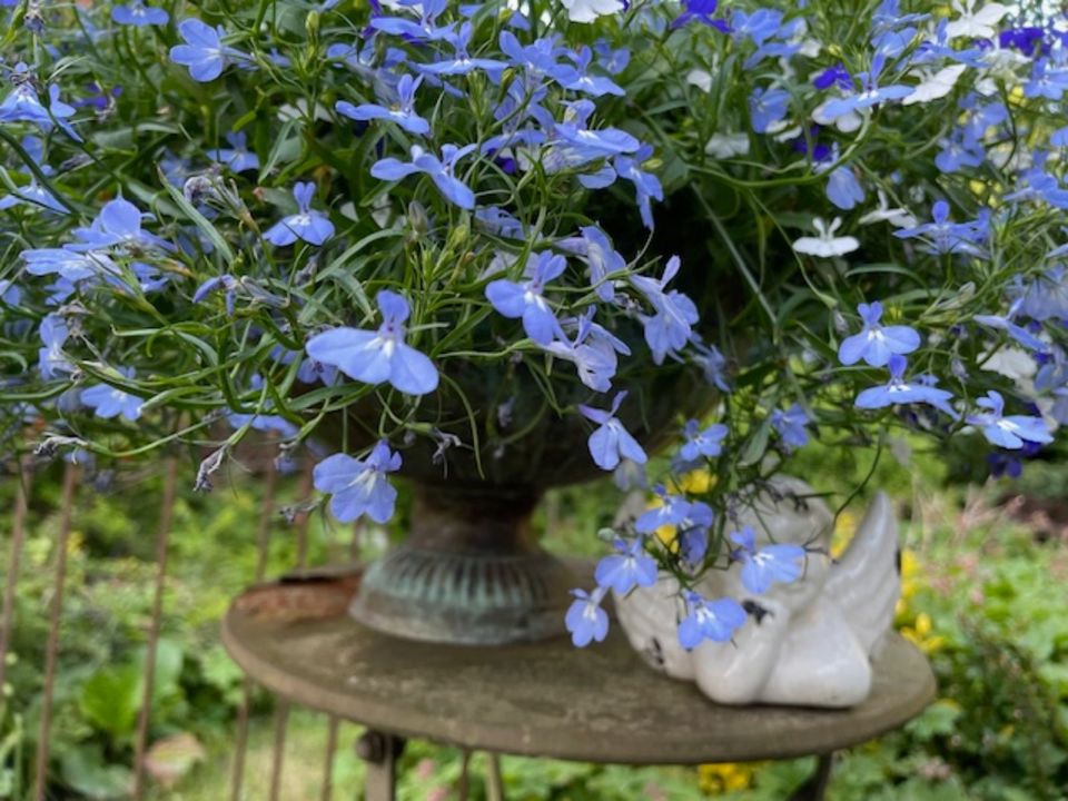 Brocante Paravent Rankhilfe Amphore Jardiniere Pflanztopf in Hanstedt