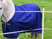 Amigo  Hero 145 cm blau Wandsbek - Hamburg Volksdorf Vorschau