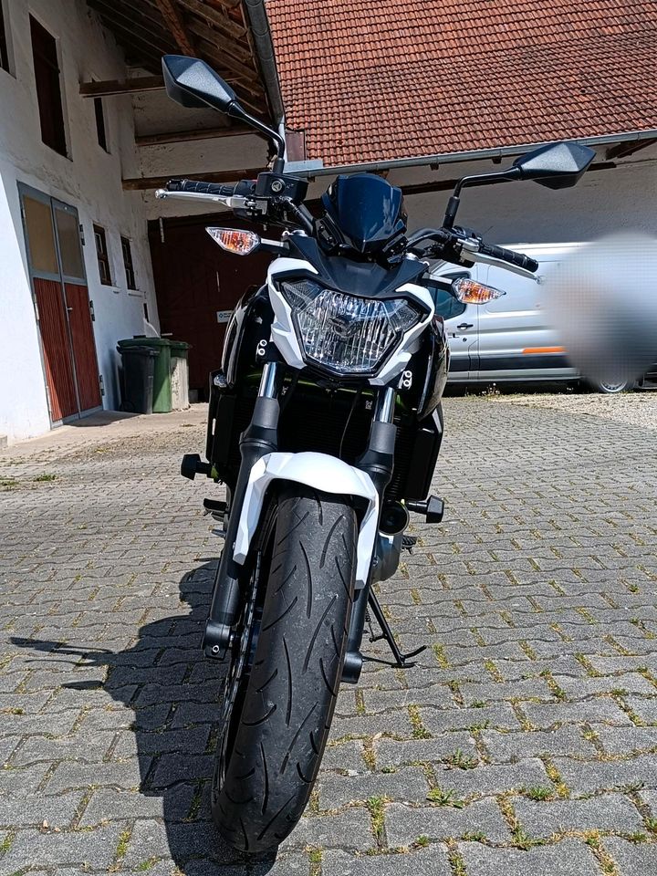 Kawasaki Z650 ABS Weiß/Grün in Bruckberg bei Landshut