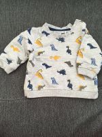 dicker Jungen Pullover Winter Gr. 68 Dinos Sachsen - Rötha Vorschau