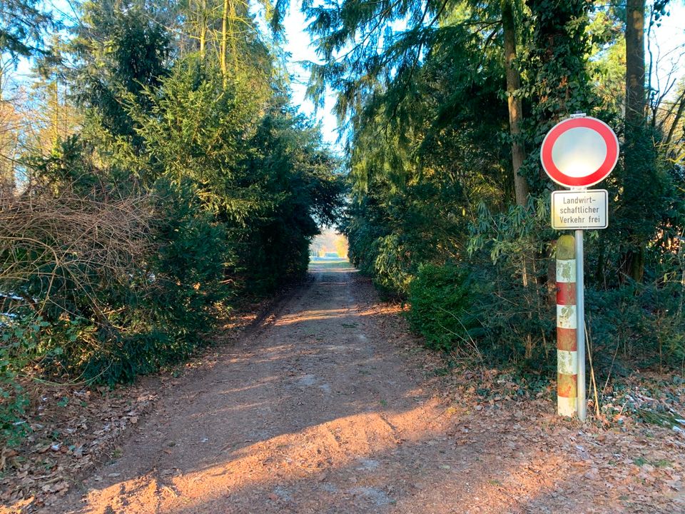 Verkauf von ca. 1 ha Baumschulfläche in Bad Zwischenahn/Helle in Bad Zwischenahn