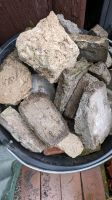 Schutt zu verschenken Steine zum auffüllen, auffüllmaterial Leipzig - Möckern Vorschau