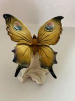 Schmetterling ENS PORZELLAN VOLKSTEDT Porzellanfigur Baden-Württemberg - Brühl Vorschau