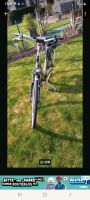 Sehr gut erhaltenes Gazelle Damenrad Nordrhein-Westfalen - Dülmen Vorschau