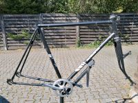 Rennrad Rahmen Augusta RH 55 schwarz vintage Hessen - Hanau Vorschau