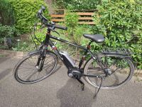 E-Bike, Pegasus Premio E8F Comfort Nordrhein-Westfalen - Bergisch Gladbach Vorschau