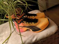 Puma Fast R Nitro Elite Carbon Schuh gr.39 NEU!!! Niedersachsen - Bad Sachsa Vorschau