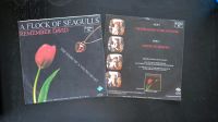 2 Vinyl Singles A Flock of Seagulls 1983 + 1983 80er Schleswig-Holstein - Bad Bramstedt Vorschau