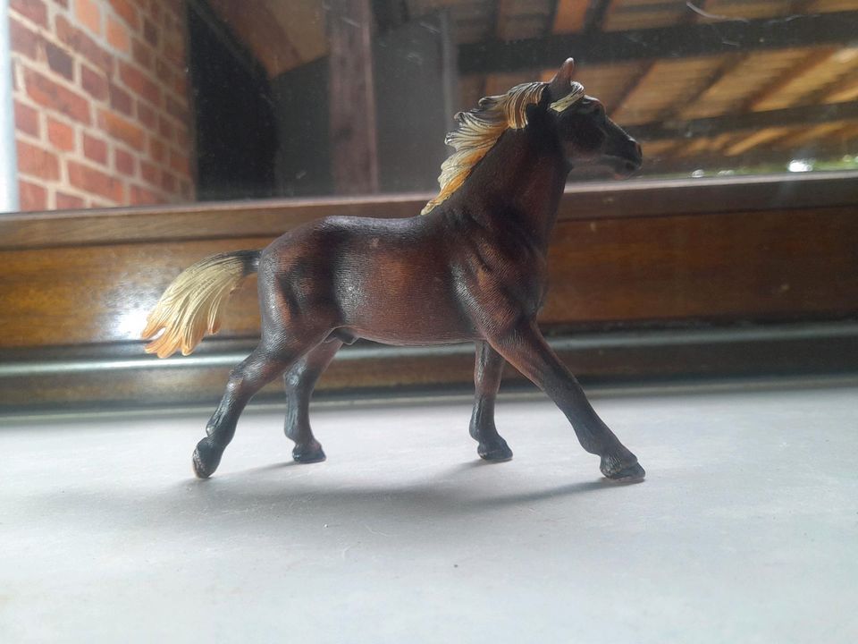 Schleich Pferd Hengst Mustang in Otter