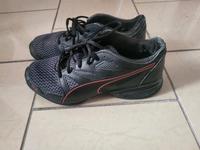 Puma Größe 43 Nordrhein-Westfalen - Krefeld Vorschau