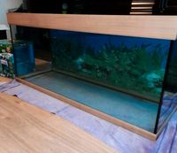 Aquarium EHEIM mit JBL Außenfilter Nordrhein-Westfalen - Lüdenscheid Vorschau