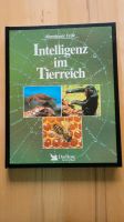 Tierbuch " Intelligenz im Tierreich" Sachsen - Lichtenstein Vorschau