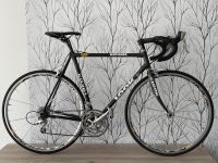 LOOK KG 361 Rennrad Vollcarbon Komplett Ultegra WIE NEU! Nordrhein-Westfalen - Ahlen Vorschau