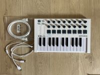 Arturia Keyboard Minilab mkII mit 2 Kabeln Hessen - Offenbach Vorschau