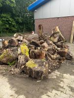 Kamin holz zu verschenken Nordrhein-Westfalen - Kalkar Vorschau