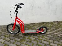 Yedoo City Roller Scooter Nordrhein-Westfalen - Leverkusen Vorschau
