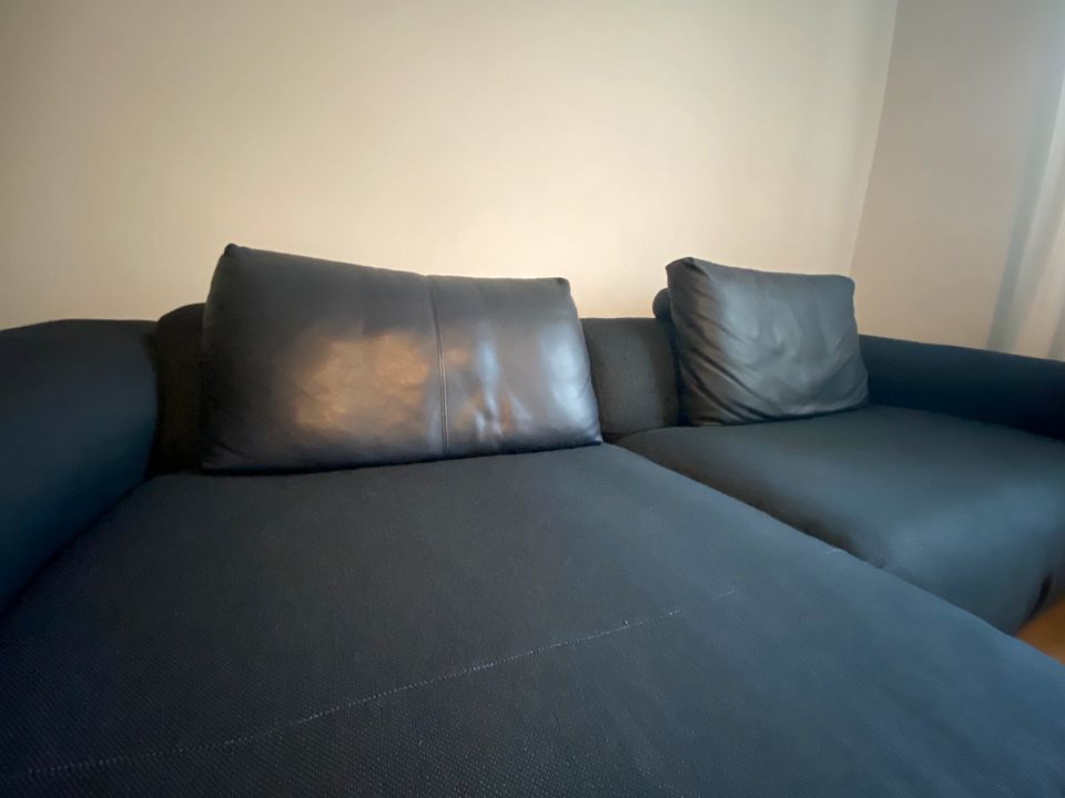 Freistil 187 / Rolf Benz Couch in Köln