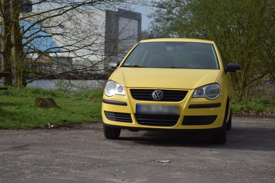 Volkswagen Polo 1.2 in Rendsburg