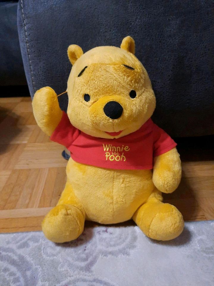 Fischer Price Winnie Pooh Disney Kuscheltier singt und spricht in Karlsruhe