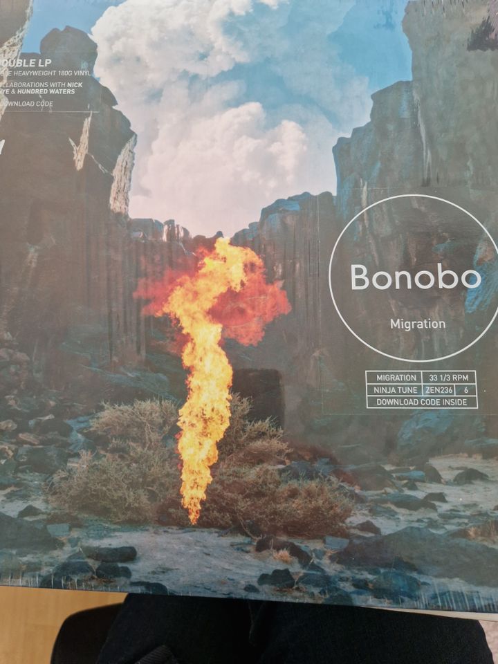 Bonobo Do-LP, Vinyl, Schallplatte in Hamburg