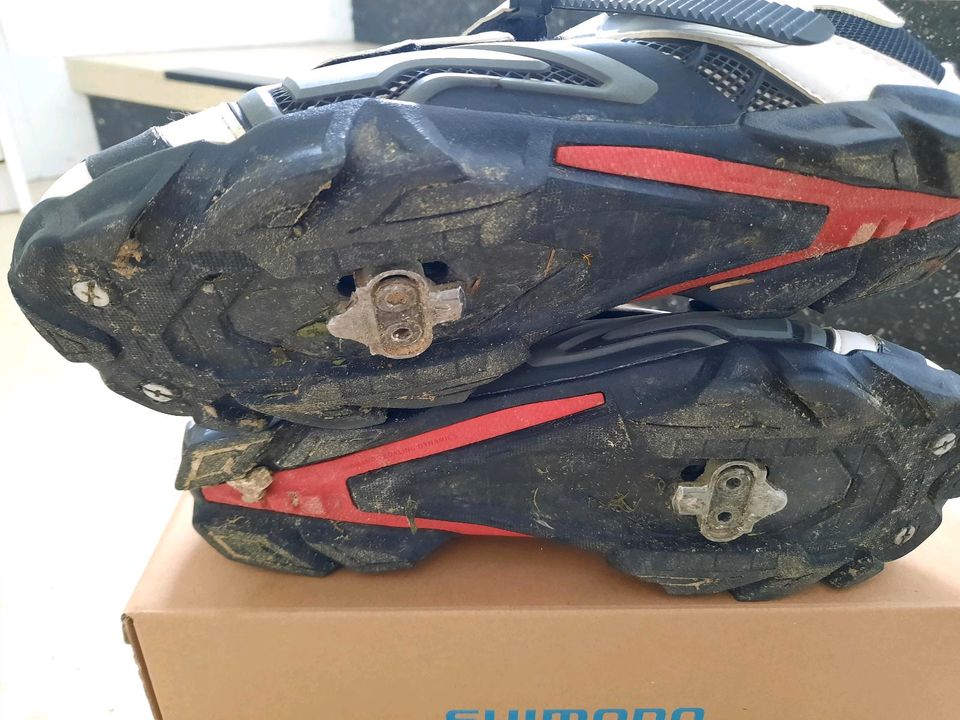 MTB-Radschuhe Shimano, Gr. 42 in Aichach